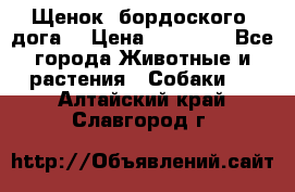 Щенок  бордоского  дога. › Цена ­ 60 000 - Все города Животные и растения » Собаки   . Алтайский край,Славгород г.